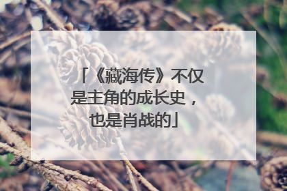 《藏海传》不仅是主角的成长史，也是肖战的