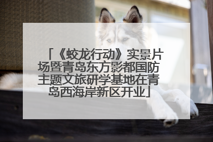《蛟龙行动》实景片场暨青岛东方影都国防主题文旅研学基地在青岛西海岸新区开业