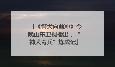 《警犬向前冲》今晚山东卫视播出，“神犬奇兵”炼成记