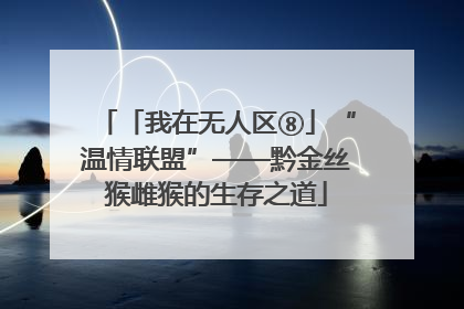 「我在无人区⑧」“温情联盟”——黔金丝猴雌猴的生存之道