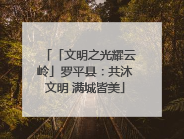 「文明之光耀云岭」罗平县：共沐文明 满城皆美