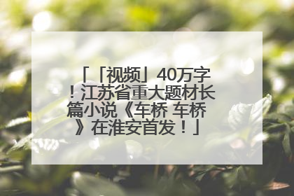 「视频」40万字！江苏省重大题材长篇小说《车桥 车桥》在淮安首发！