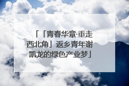 「青春华章·重走西北角」返乡青年谢凯龙的绿色产业梦