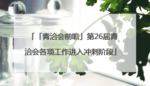 「青洽会前瞻」第26届青洽会各项工作进入冲刺阶段