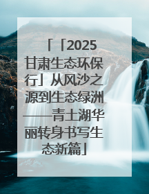 「2025甘肃生态环保行」从风沙之源到生态绿洲——青土湖华丽转身书写生态新篇