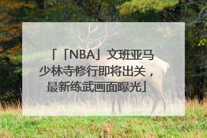 「NBA」文班亚马少林寺修行即将出关，最新练武画面曝光