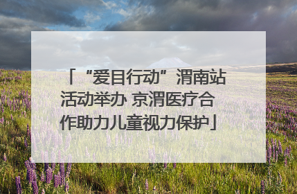 “爱目行动”渭南站活动举办 京渭医疗合作助力儿童视力保护