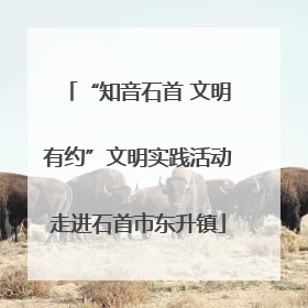 “知音石首 文明有约”文明实践活动走进石首市东升镇
