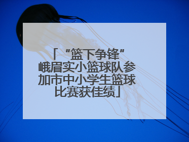 “篮下争锋” 峨眉实小篮球队参加市中小学生篮球比赛获佳绩