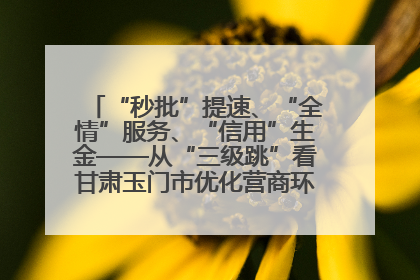 “秒批”提速、“全情”服务、“信用”生金——从“三级跳”看甘肃玉门市优化营商环境的进阶之路