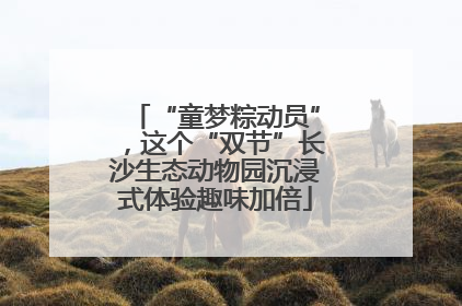 “童梦粽动员”，这个“双节”长沙生态动物园沉浸式体验趣味加倍