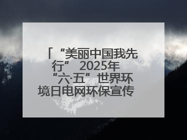 “美丽中国我先行” 2025年“六·五”世界环境日电网环保宣传系列活动——多场景联动，共筑生态发展新图景