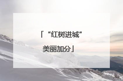 “红树进城” 美丽加分