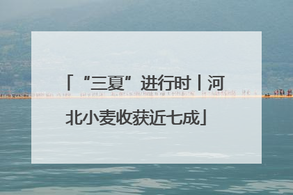 “三夏”进行时丨河北小麦收获近七成