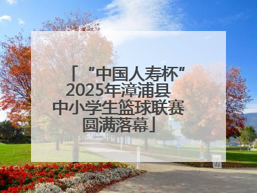 “中国人寿杯”2025年漳浦县中小学生篮球联赛圆满落幕