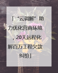 “云调解”助力优化营商环境，20天远程化解百万工程欠款纠纷