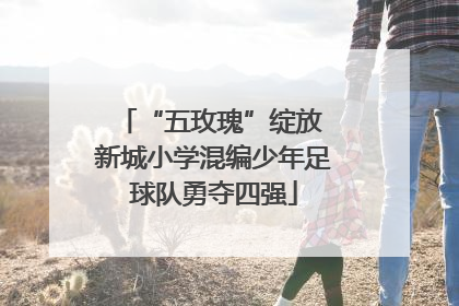 “五玫瑰”绽放 新城小学混编少年足球队勇夺四强