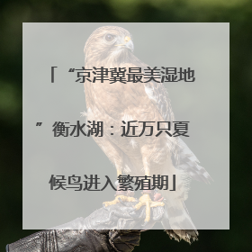 “京津冀最美湿地”衡水湖：近万只夏候鸟进入繁殖期