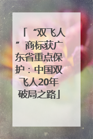 “双飞人”商标获广东省重点保护：中国双飞人20年破局之路