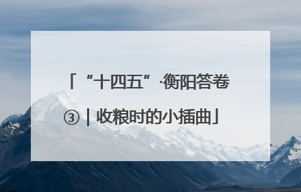 “十四五”·衡阳答卷③｜收粮时的小插曲