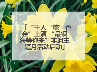 “千人‘粽’香会”上演 “最镇海等你来”非遗主题月活动启动