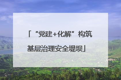 “党建+化解”构筑基层治理安全堤坝
