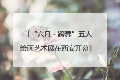 “六月 - 跨界”五人绘画艺术展在西安开幕