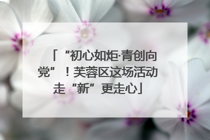 “初心如炬·青创向党”！芙蓉区这场活动走“新”更走心