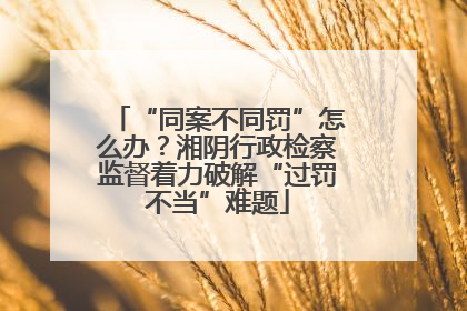 “同案不同罚”怎么办？湘阴行政检察监督着力破解“过罚不当”难题