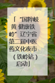 “国粹岐黄 健康铁岭”辽宁省第二届中医药文化夜市（铁岭站）启动