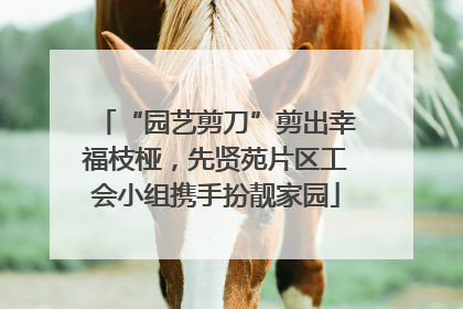 “园艺剪刀”剪出幸福枝桠，先贤苑片区工会小组携手扮靓家园