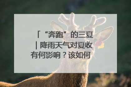 “奔跑”的三夏｜降雨天气对夏收有何影响？该如何防范？一文了解
