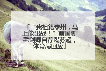 “我祖籍泰州，马上能出战！”前国脚毛剑卿自荐踢苏超，体育局回应