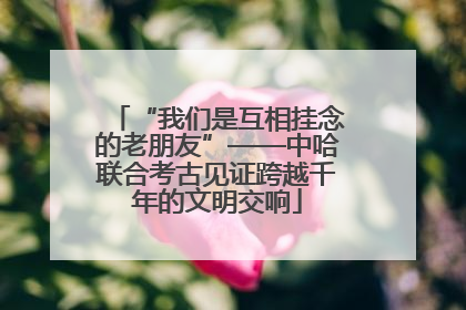 “我们是互相挂念的老朋友”——中哈联合考古见证跨越千年的文明交响