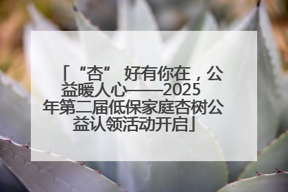 “杏” 好有你在，公益暖人心——2025 年第二届低保家庭杏树公益认领活动开启