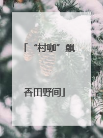 “村咖”飘香田野间