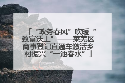 “政务春风”吹暖“致富沃土”——莱芜区商事登记直通车激活乡村振兴“一池春水”