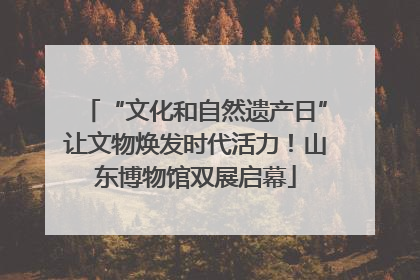 “文化和自然遗产日”让文物焕发时代活力！山东博物馆双展启幕