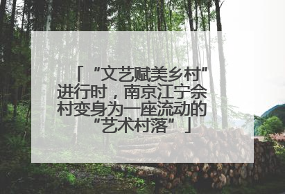 “文艺赋美乡村”进行时，南京江宁佘村变身为一座流动的“艺术村落”