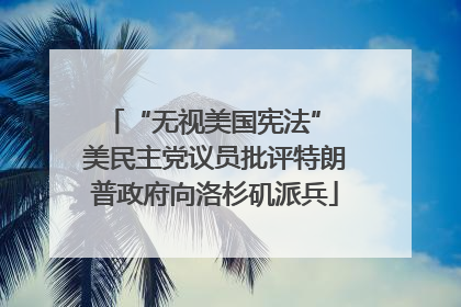 “无视美国宪法” 美民主党议员批评特朗普政府向洛杉矶派兵