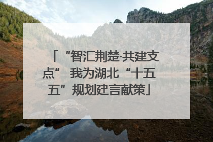 “智汇荆楚·共建支点” 我为湖北“十五五”规划建言献策