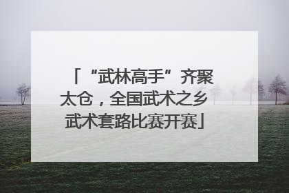 “武林高手”齐聚太仓，全国武术之乡武术套路比赛开赛