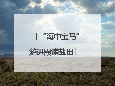 “海中宝马”游进霞浦盐田