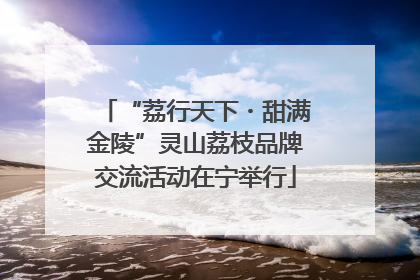 “荔行天下・甜满金陵”灵山荔枝品牌交流活动在宁举行