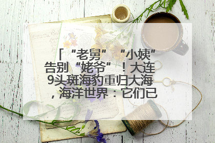 “老舅”“小姨”告别“姥爷”！大连9头斑海豹重归大海，海洋世界：它们已具备野外生存能力