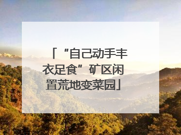 “自己动手丰衣足食”矿区闲置荒地变菜园