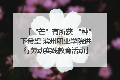 “芒”有所获 “种”下希望 滨州职业学院进行劳动实践教育活动