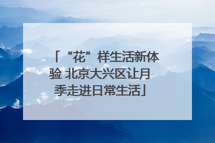 “花”样生活新体验 北京大兴区让月季走进日常生活