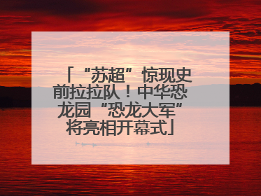 “苏超”惊现史前拉拉队！中华恐龙园“恐龙大军”将亮相开幕式