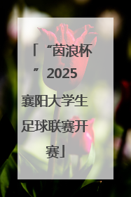 “茵浪杯”2025襄阳大学生足球联赛开赛